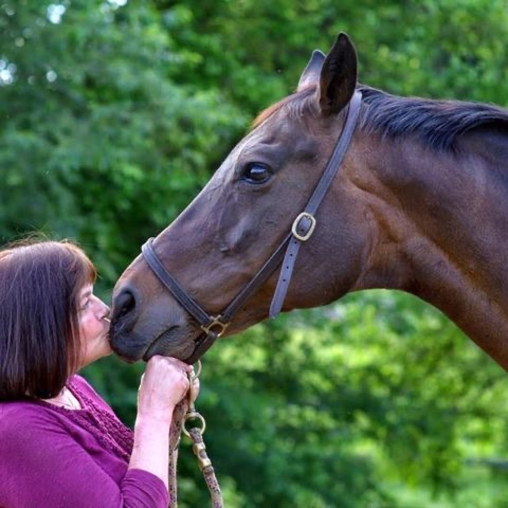 Meet your Posher, Sharon